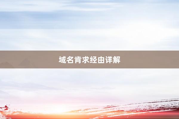 域名肯求经由详解