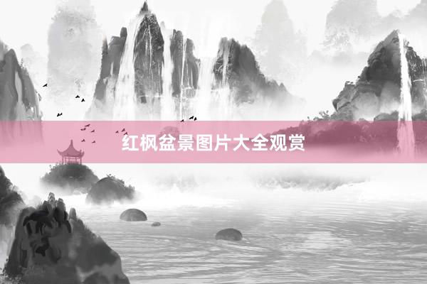 红枫盆景图片大全观赏