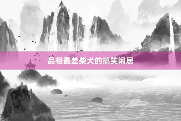 品相最差柴犬的搞笑闲居