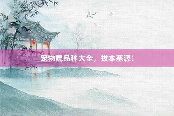 宠物鼠品种大全，拔本塞源！